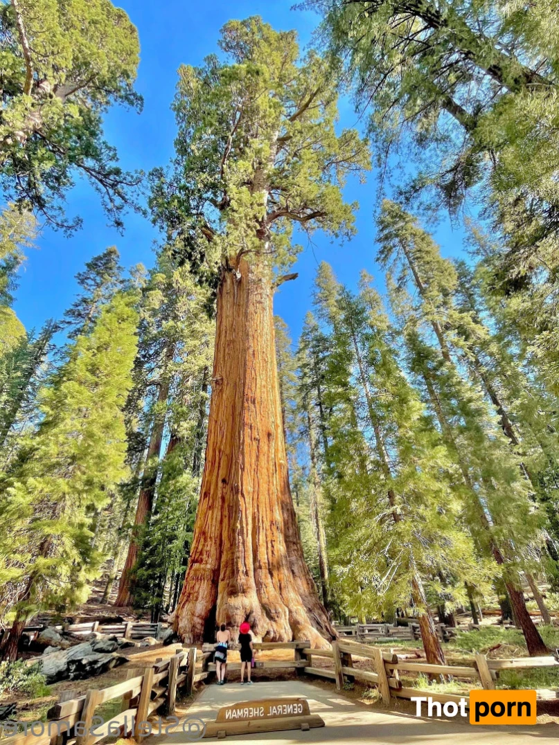 Stella 💕 11570374