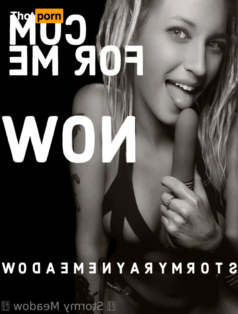 ꧁Stormy꧂ 11567817