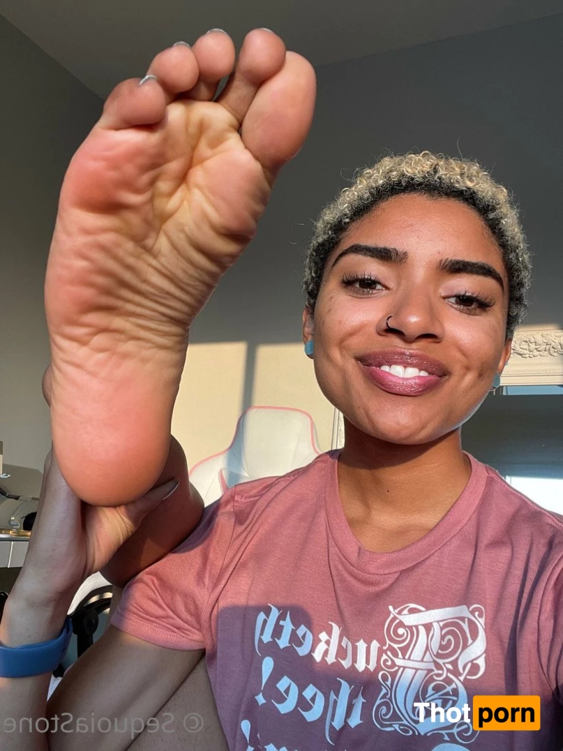 Sequoia Stone 2752816