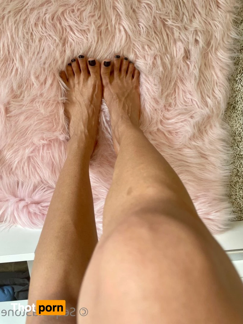 Sequoia Stone 2752826