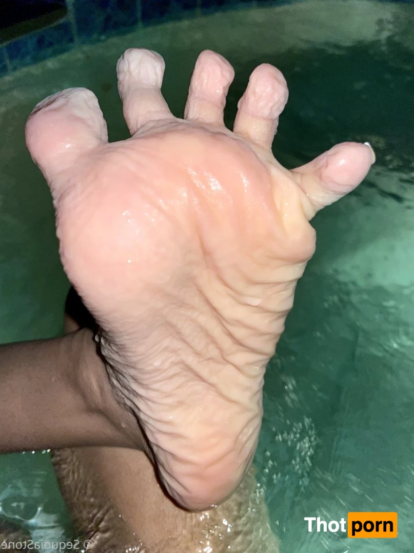 Sequoia Stone 2752867