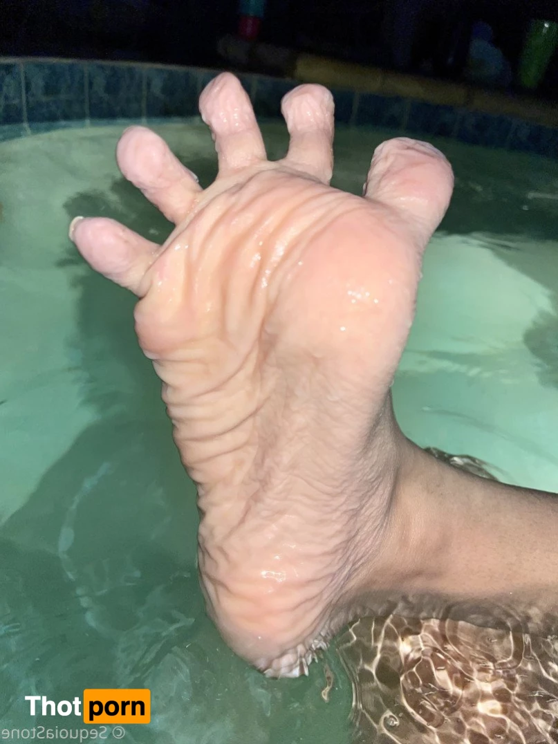 Sequoia Stone 2752921