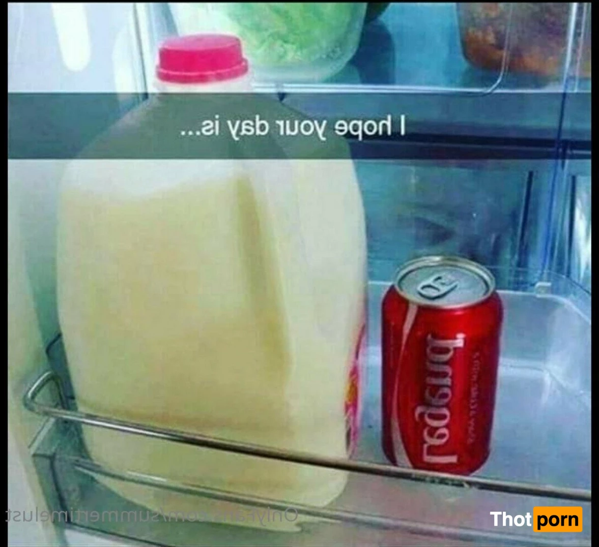 🌻Şน๓๓ēr🌻 2693975