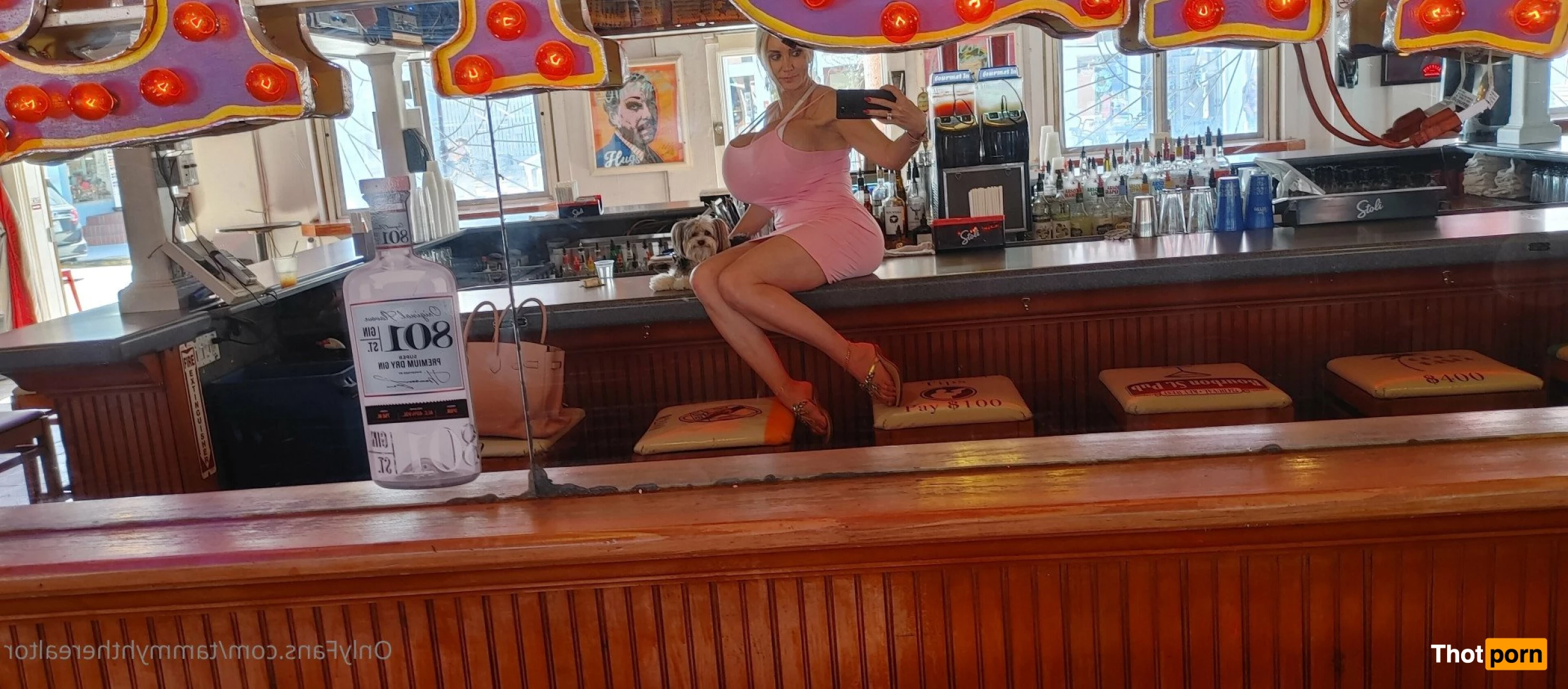 Tammyhtherealtor &amp; Gizmo 2937708