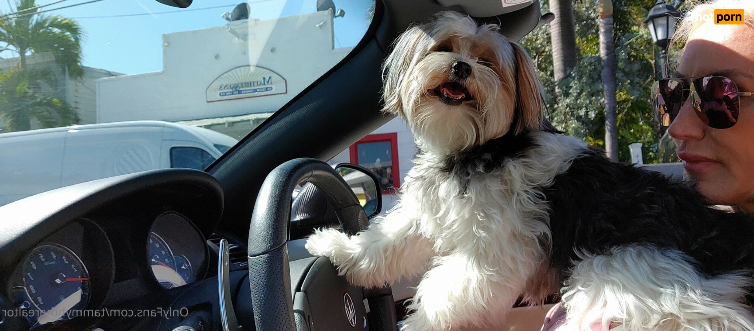 Tammyhtherealtor &amp; Gizmo 2937751