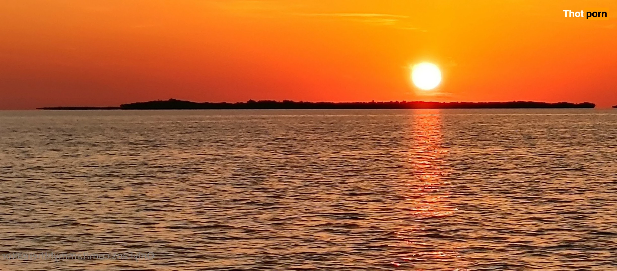 Tammyhtherealtor &amp; Gizmo 2937764