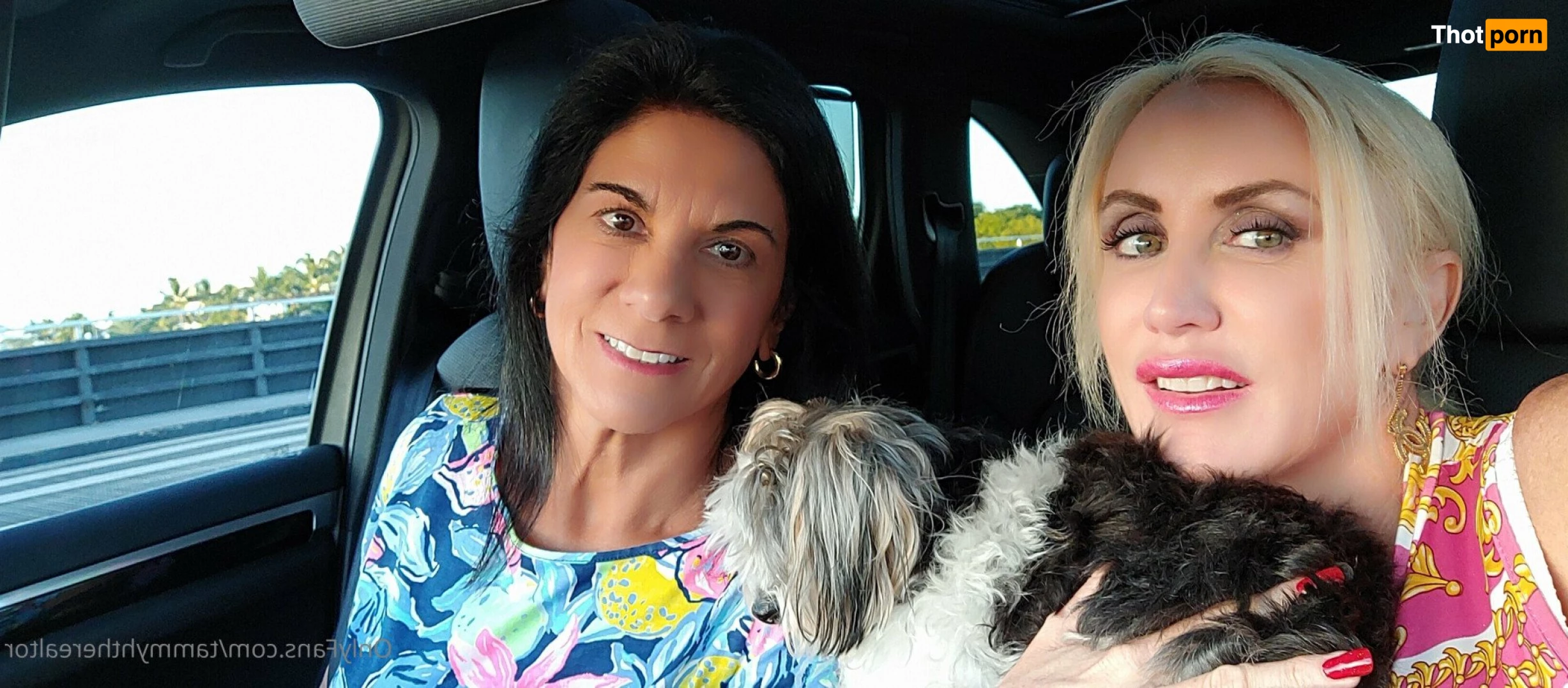 Tammyhtherealtor &amp; Gizmo 2937789