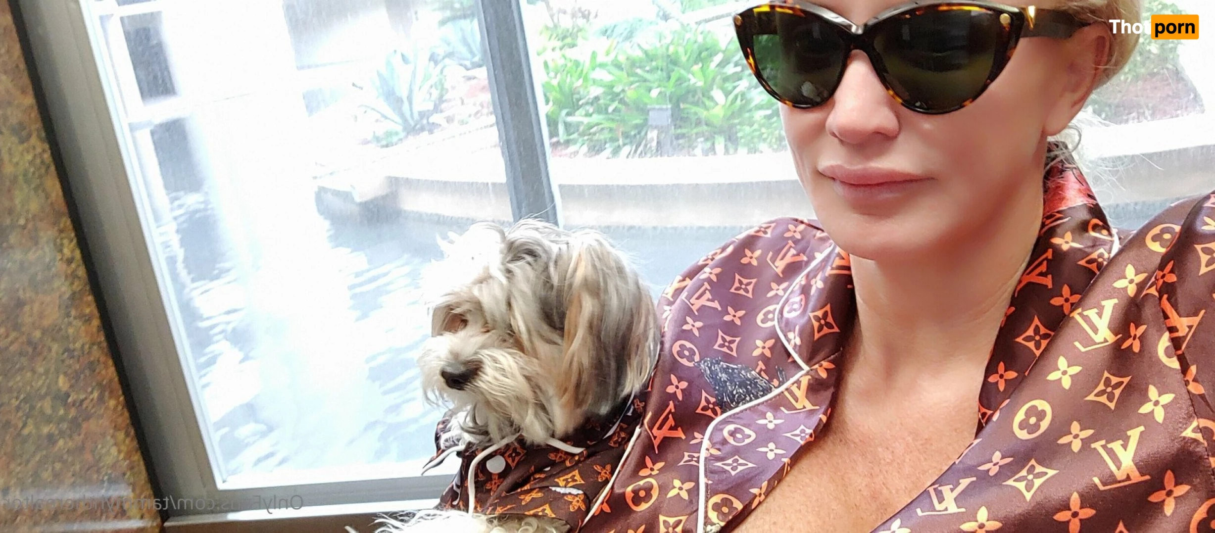 Tammyhtherealtor &amp; Gizmo 2937796