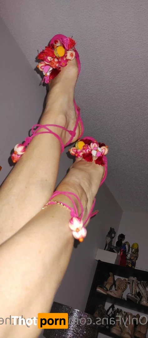 Tammyhtherealtor &amp; Gizmo 2937810