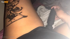 13772215