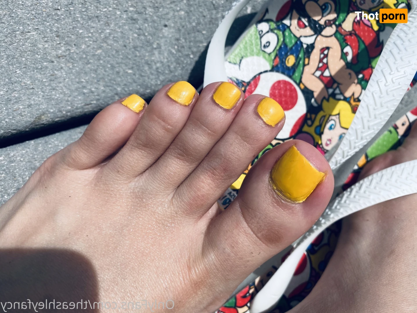 TheAshleyFancy 15593330