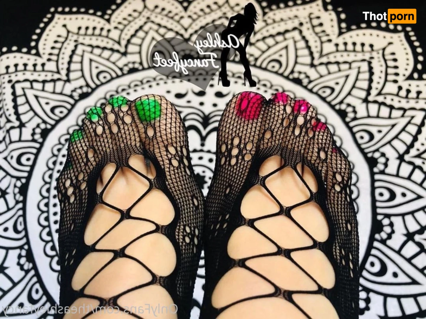 TheAshleyFancy 15593520