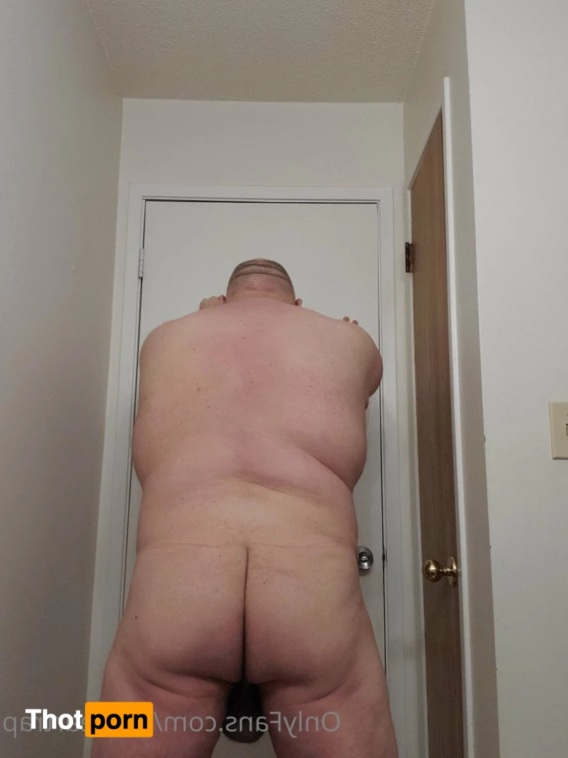 thebeartrap 2646759