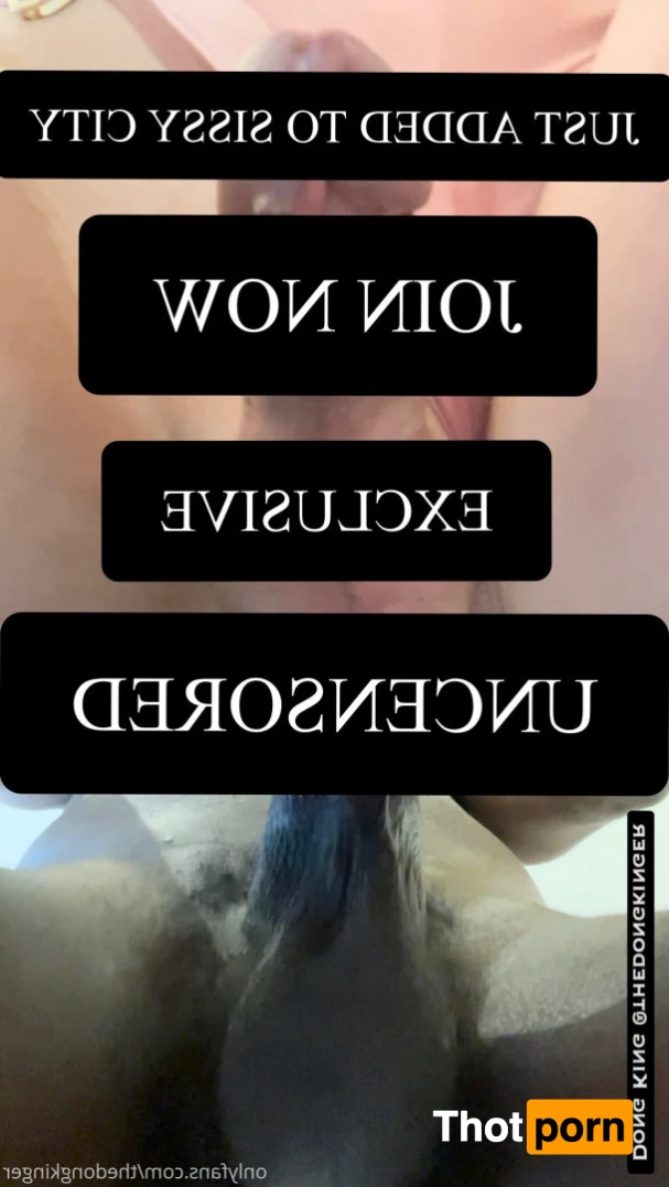 Dong King 🔞 15536422