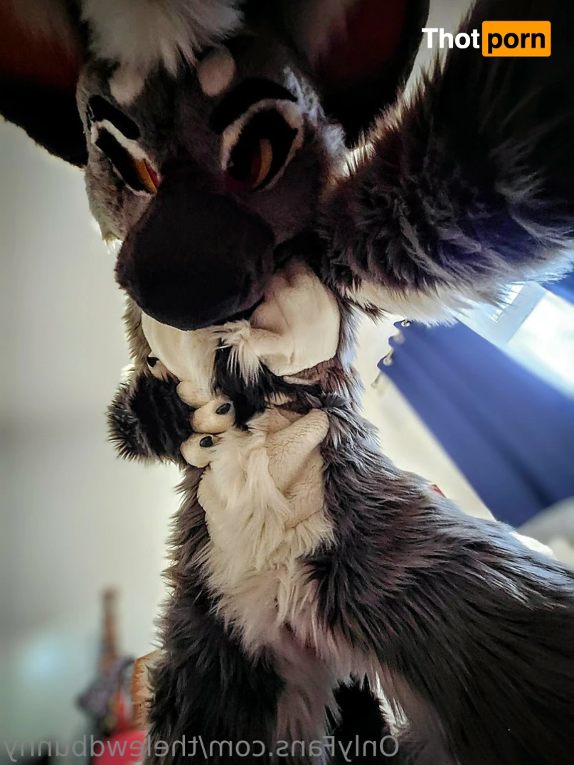 ⛓💕~M U T T~ 💕⛓ 15496012