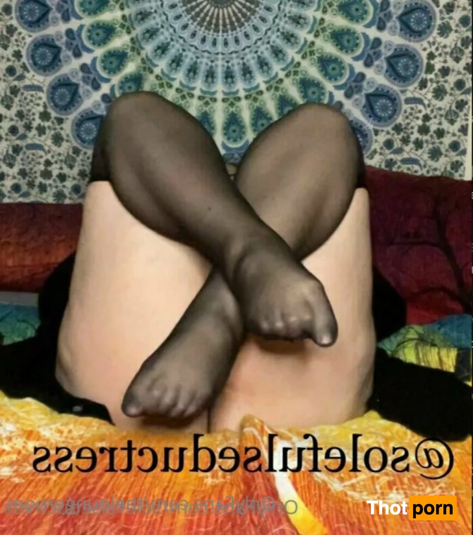 The Lounge Room 6030974