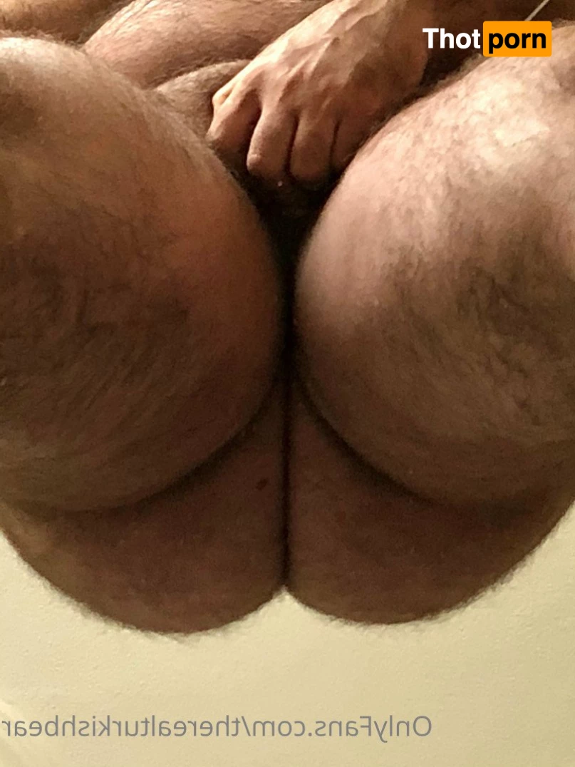 TheRealTurkishBear 2618296