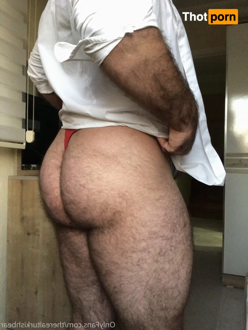 TheRealTurkishBear 2618357