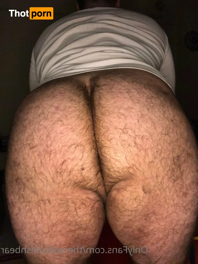 TheRealTurkishBear 2618507