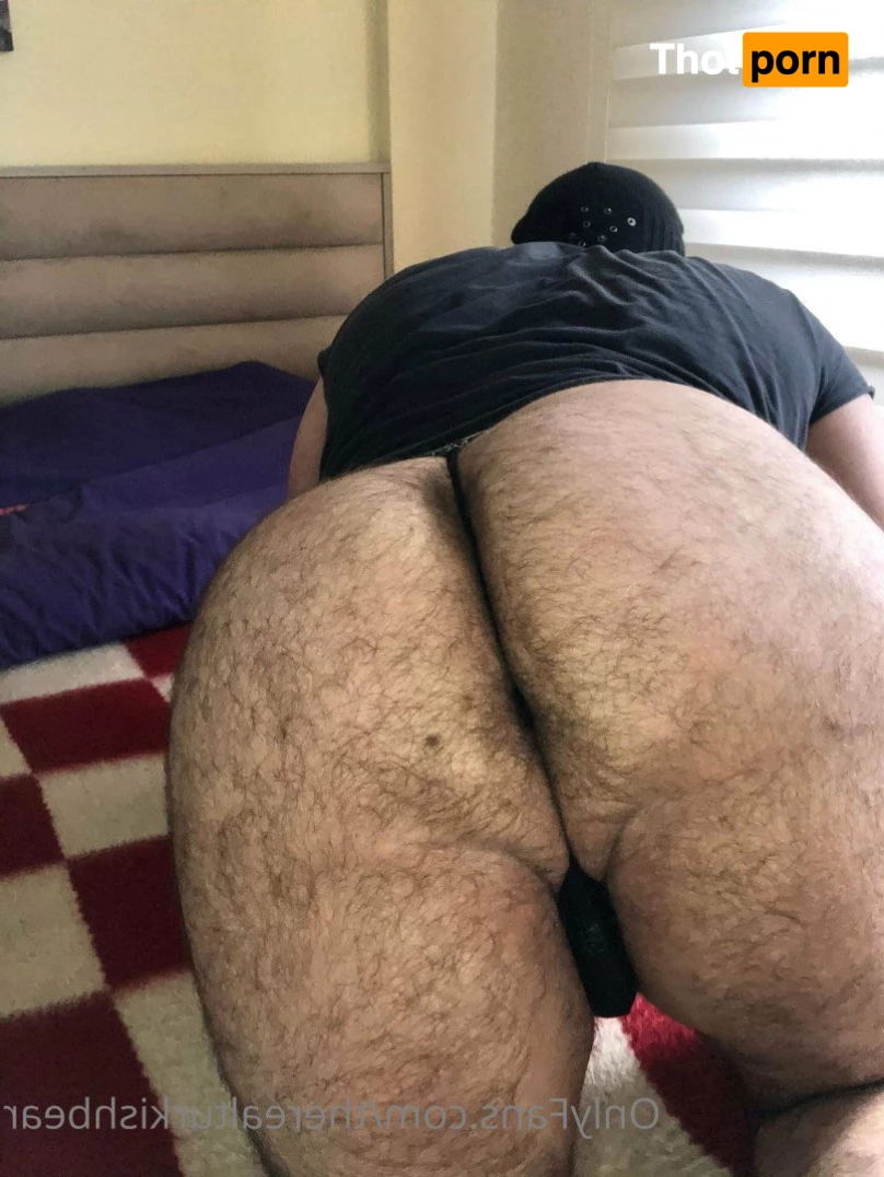 TheRealTurkishBear 2618610