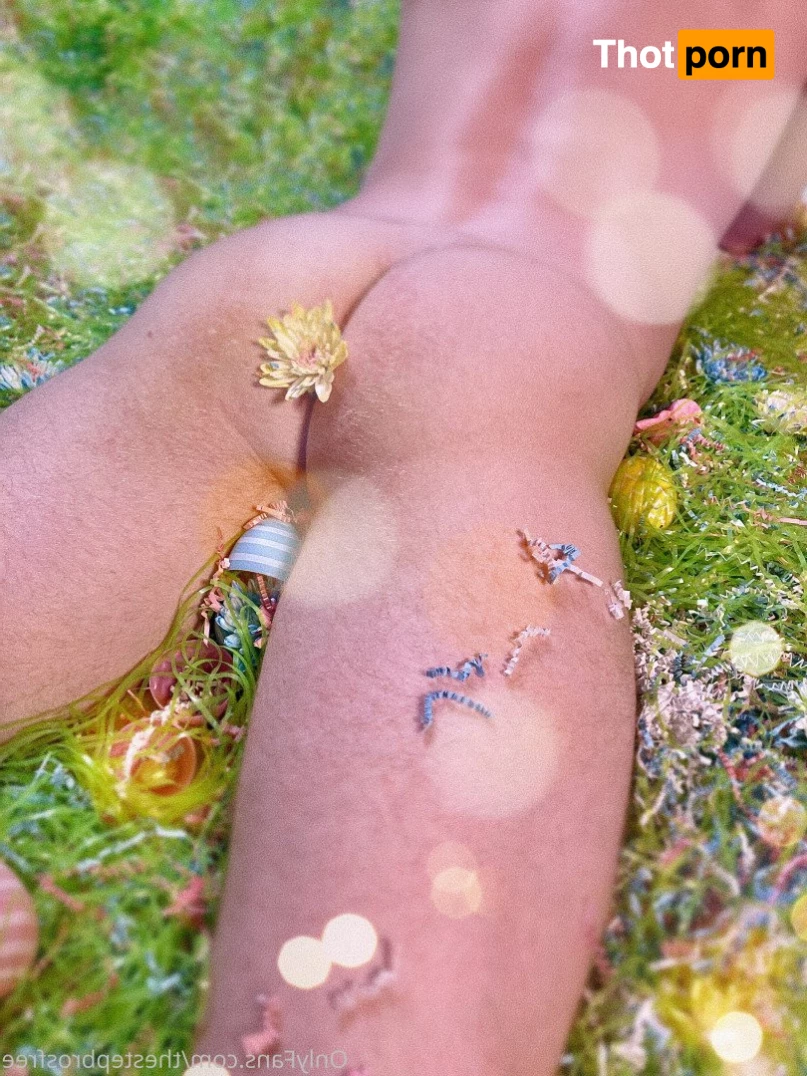 The Step Bros Free 2652334