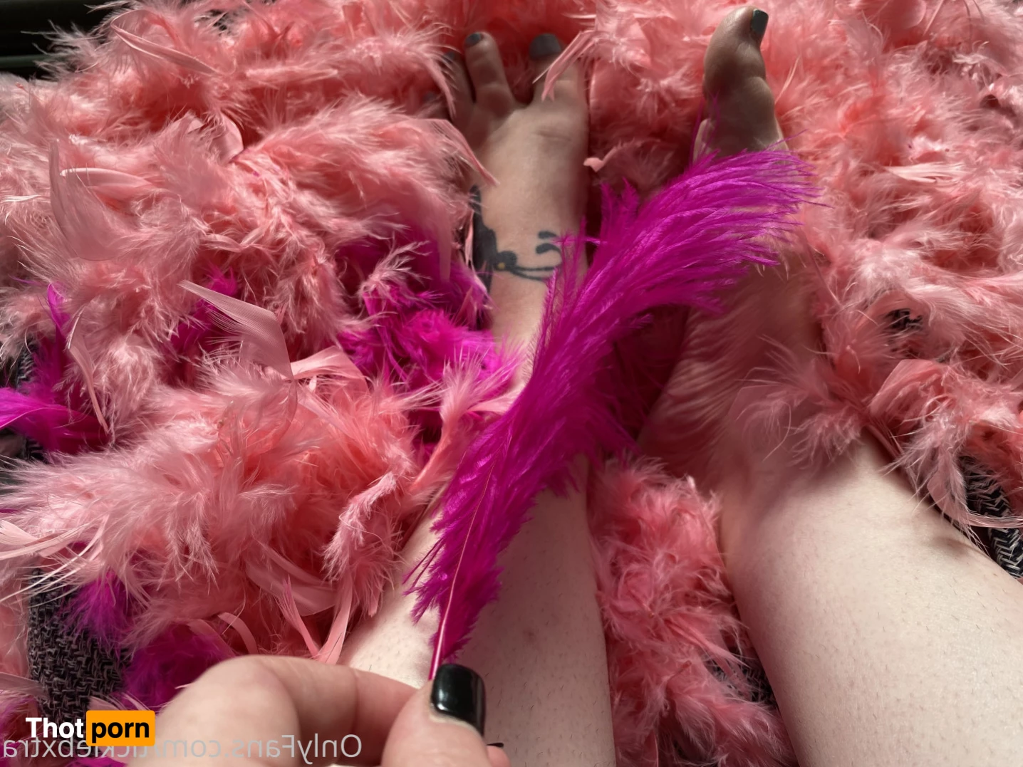 Tickle B Xtra 6193602