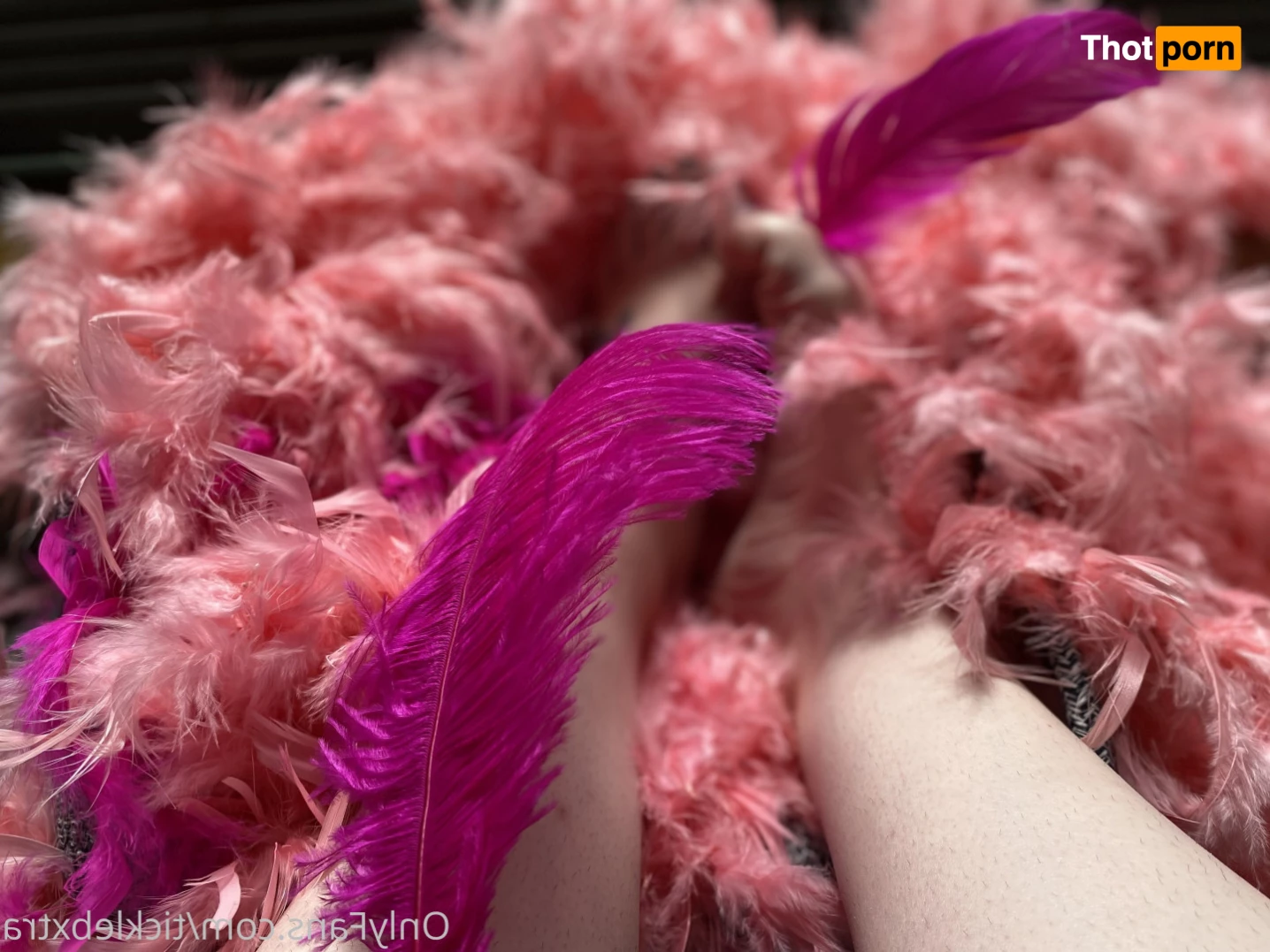 Tickle B Xtra 6193611