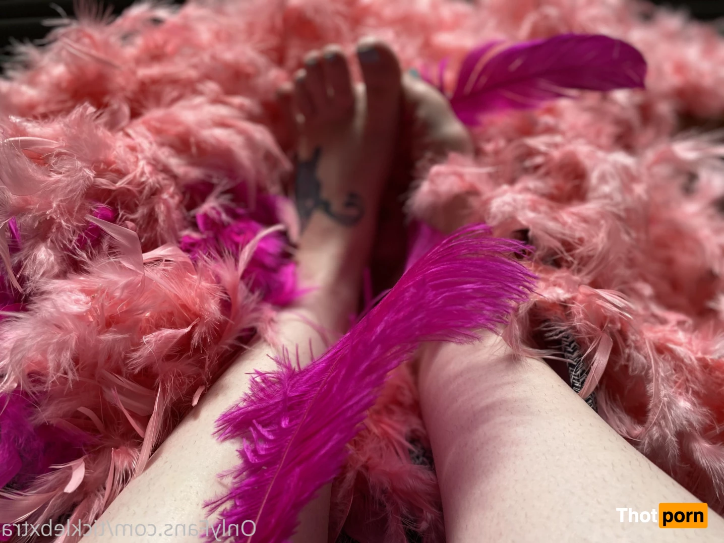 Tickle B Xtra 6193619