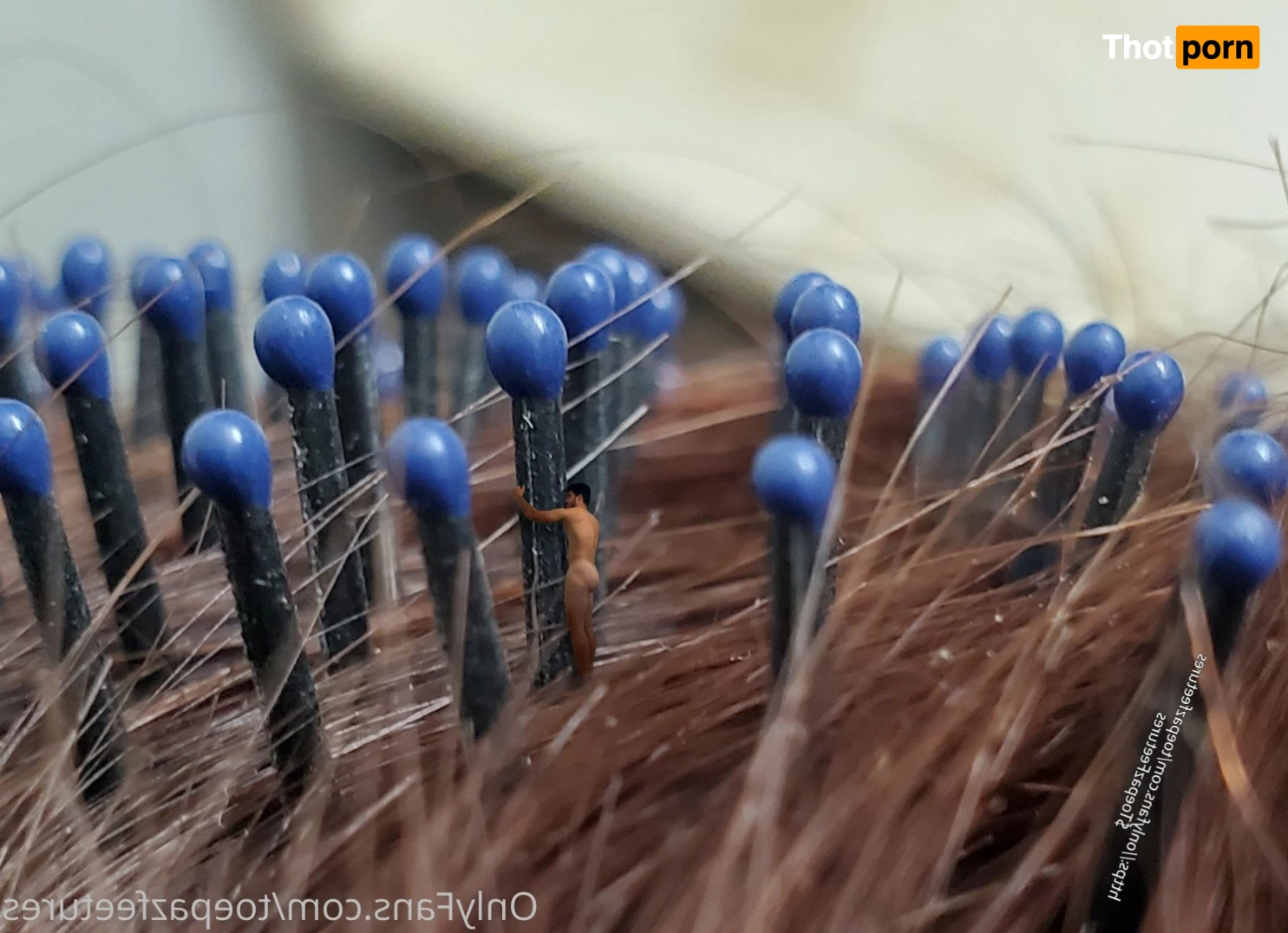 ToepazFeetures 2650183