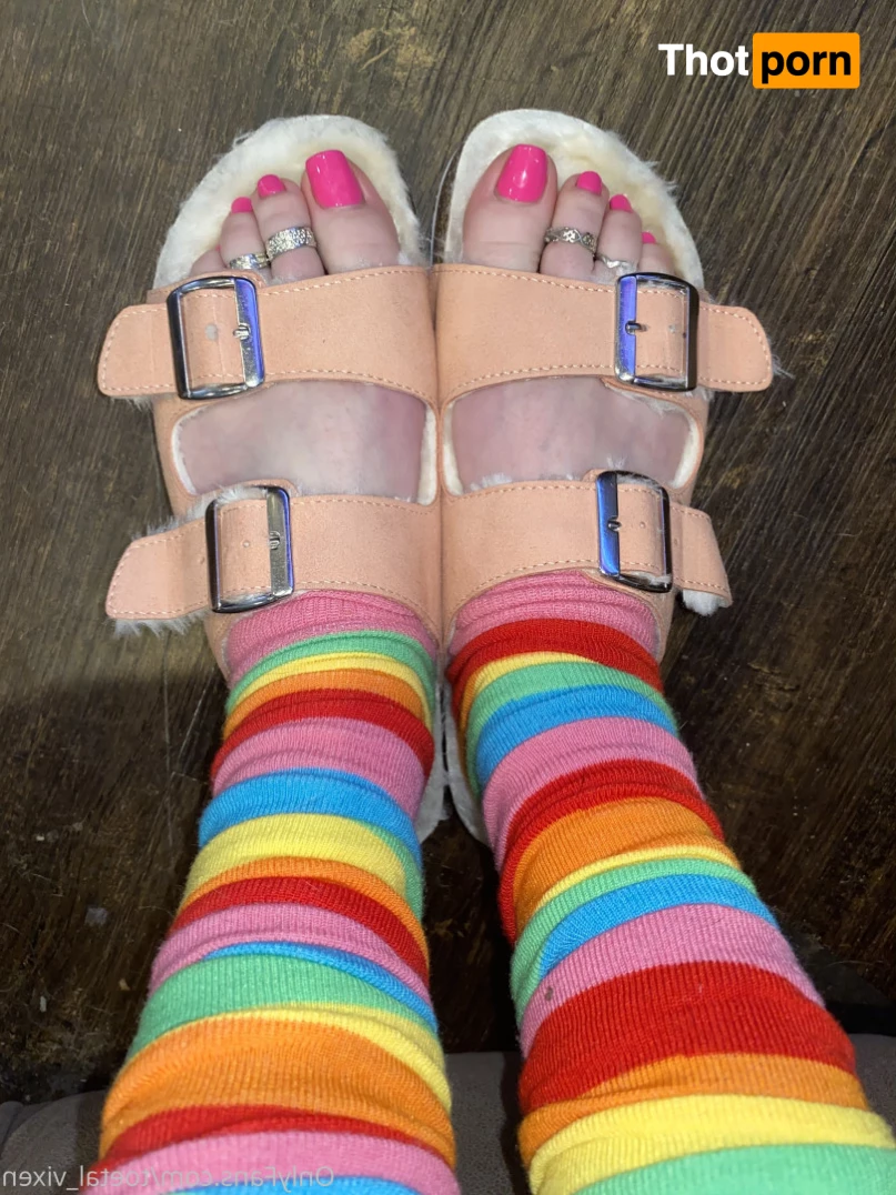 toetal_vixen 6117264