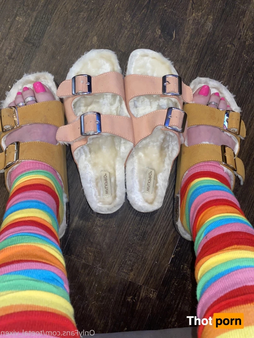 toetal_vixen 6117313