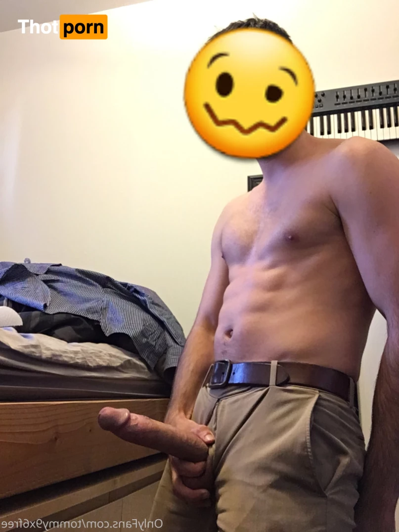 Tommy9x6Free 9334211