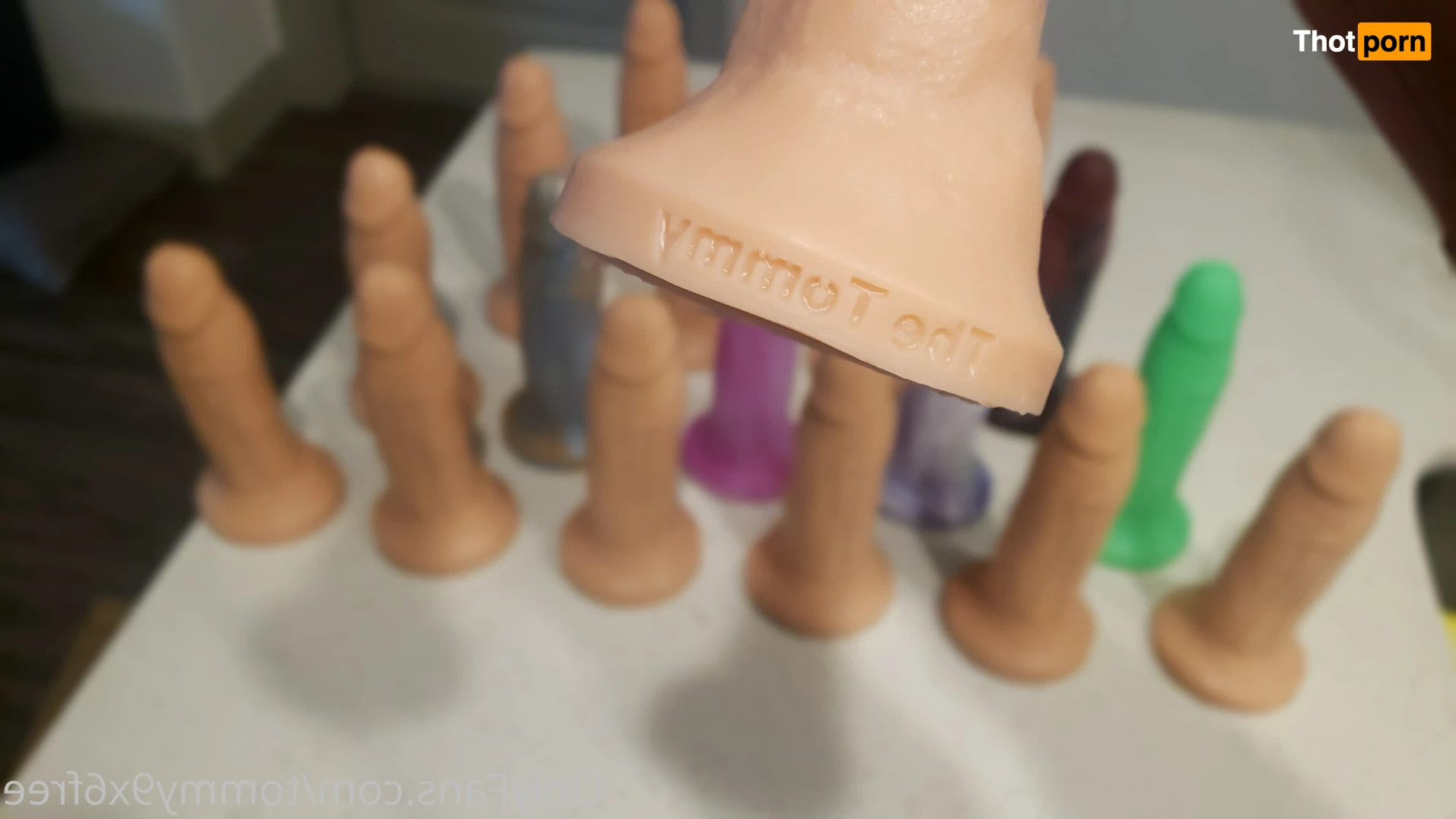 Tommy9x6Free 9334243