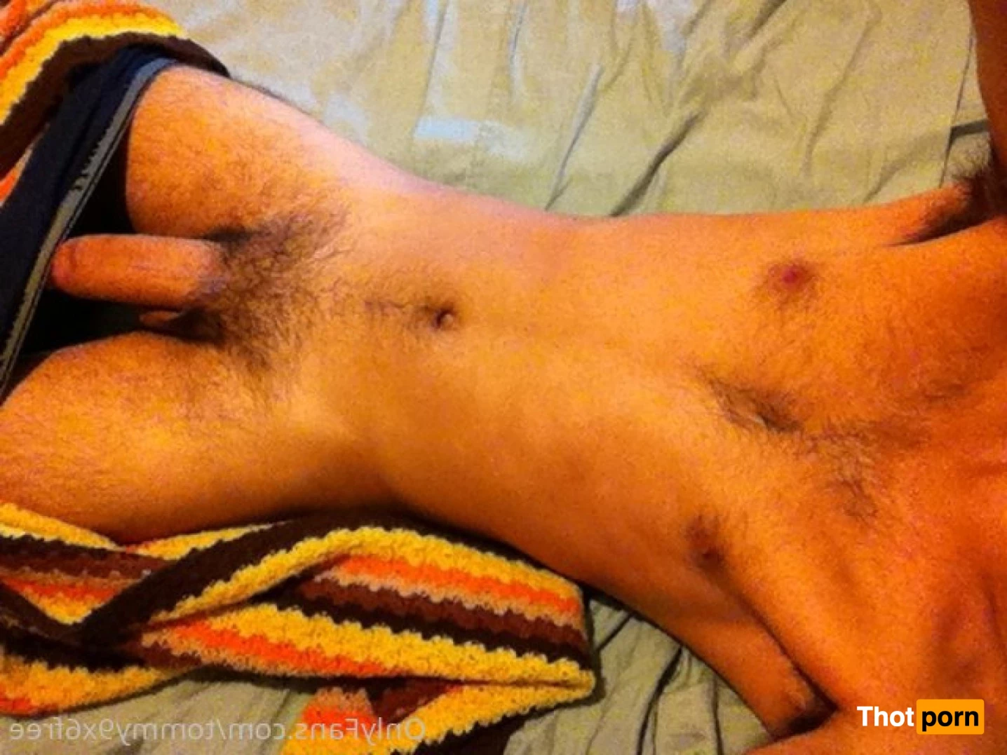 Tommy9x6Free 9334298