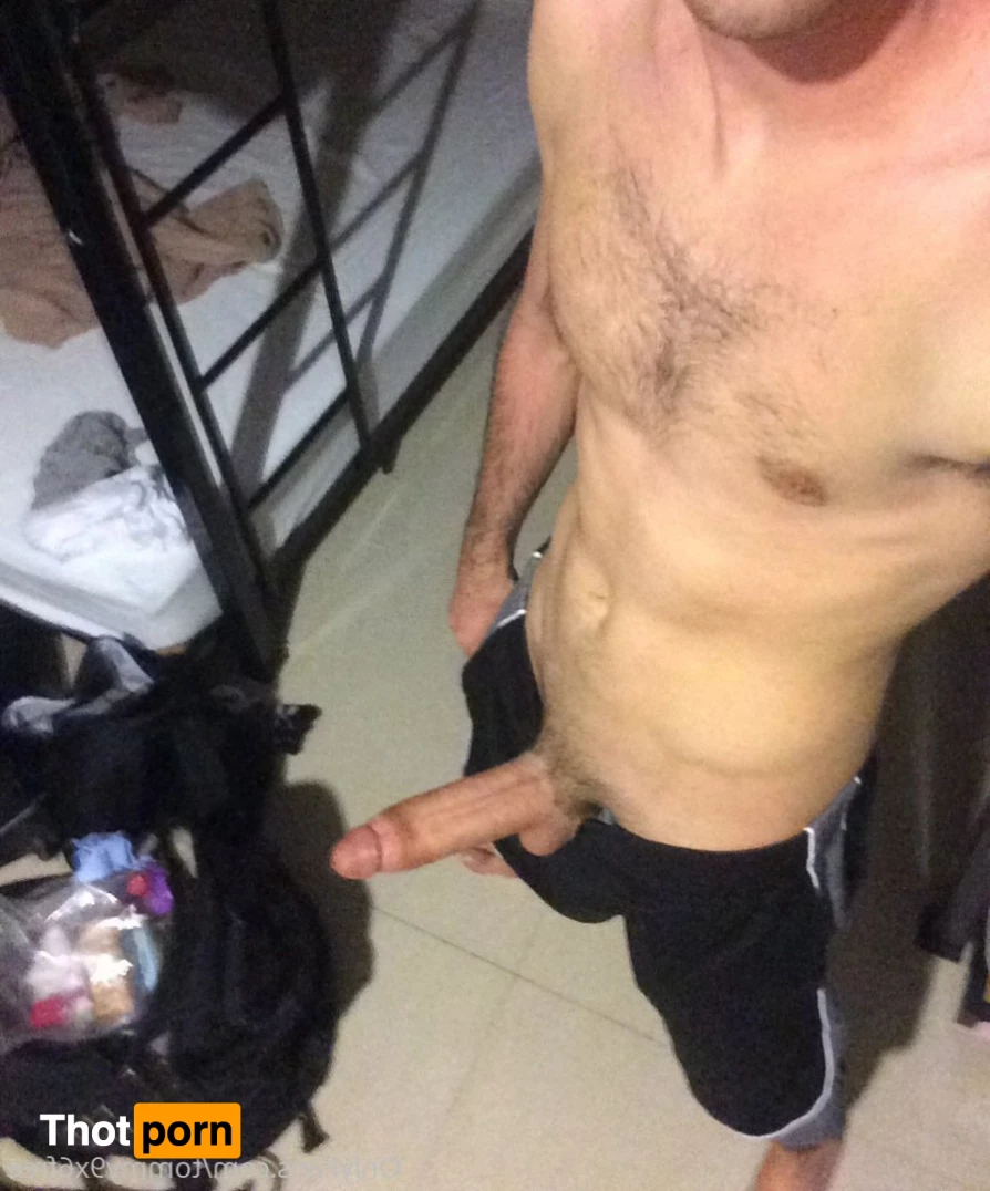 Tommy9x6Free 9334364