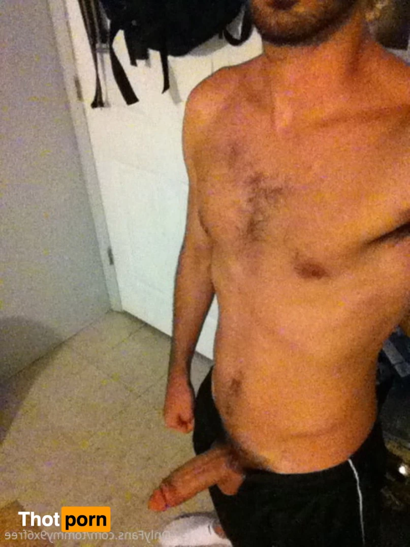 Tommy9x6Free 9334390