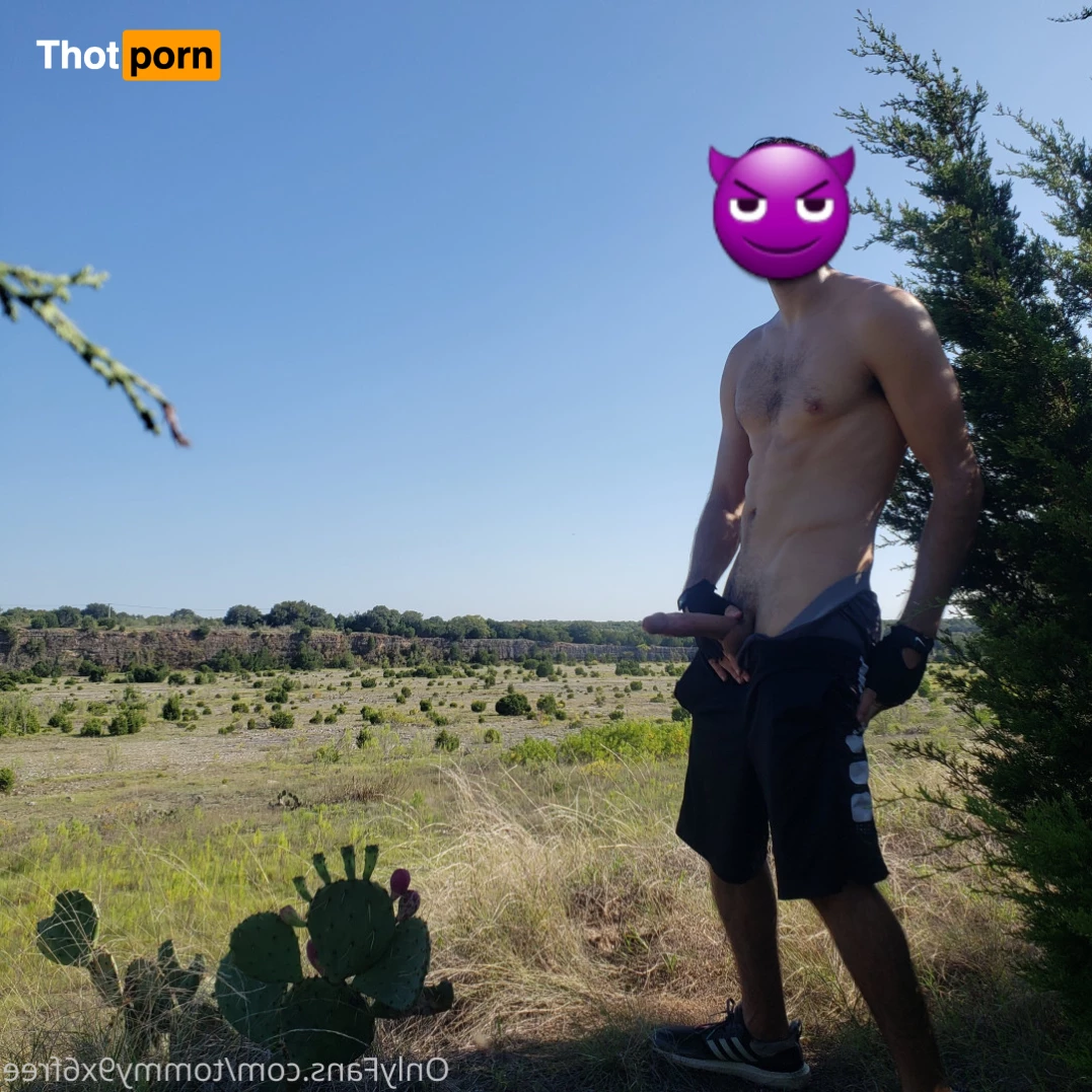 Tommy9x6Free 9334421