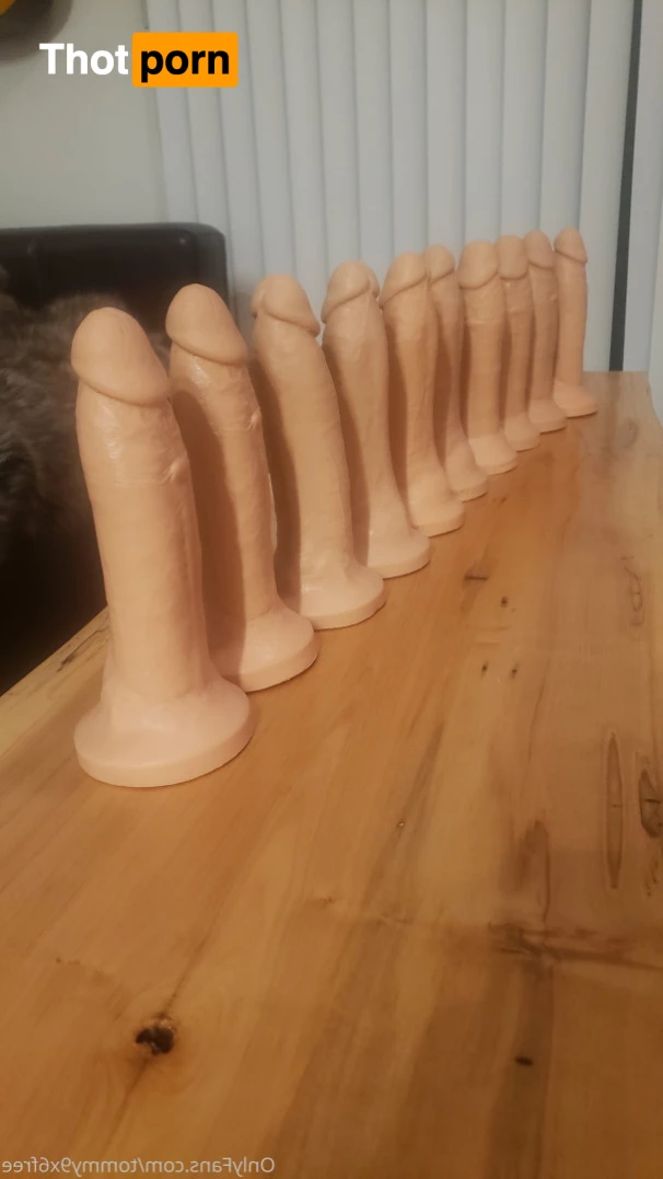 Tommy9x6Free 9334434