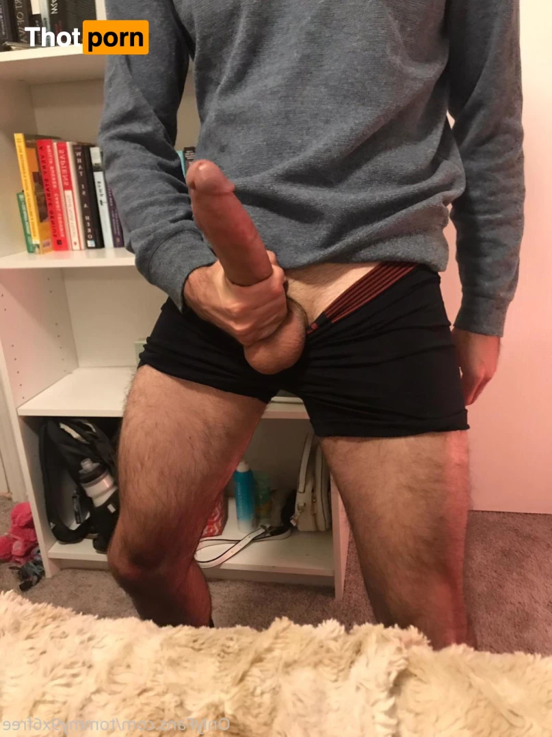 Tommy9x6Free 9334499