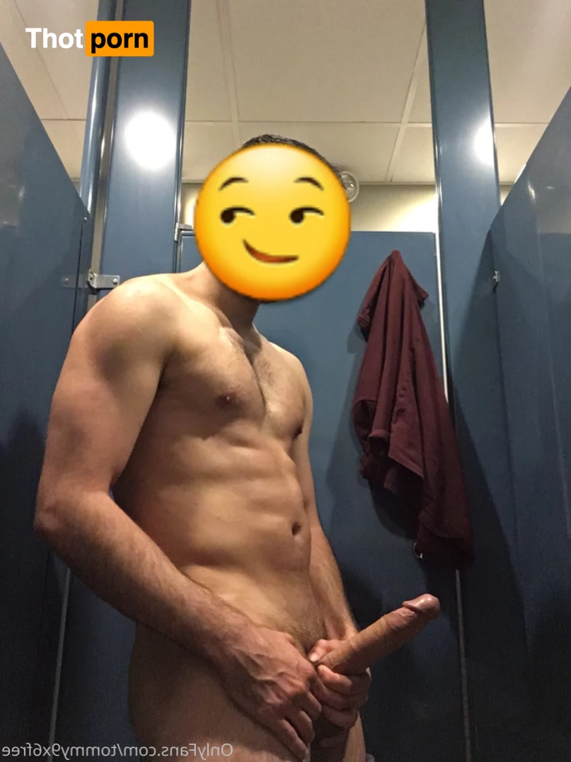 Tommy9x6Free 9334572