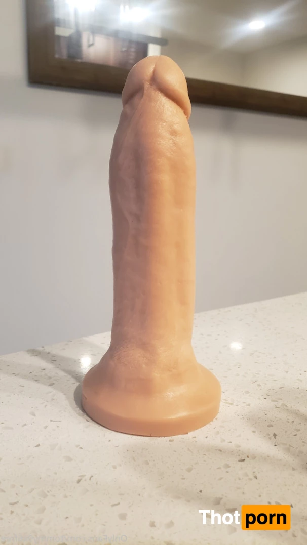 Tommy9x6Free 9334601