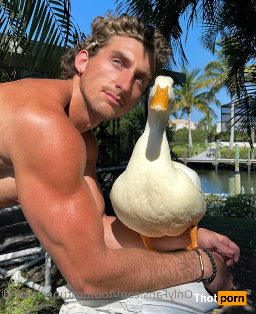 Too Turnt Tony 15364479