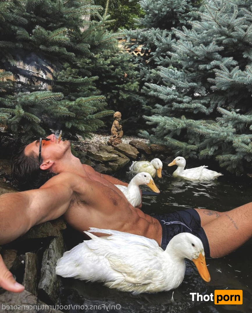 Too Turnt Tony 15365417