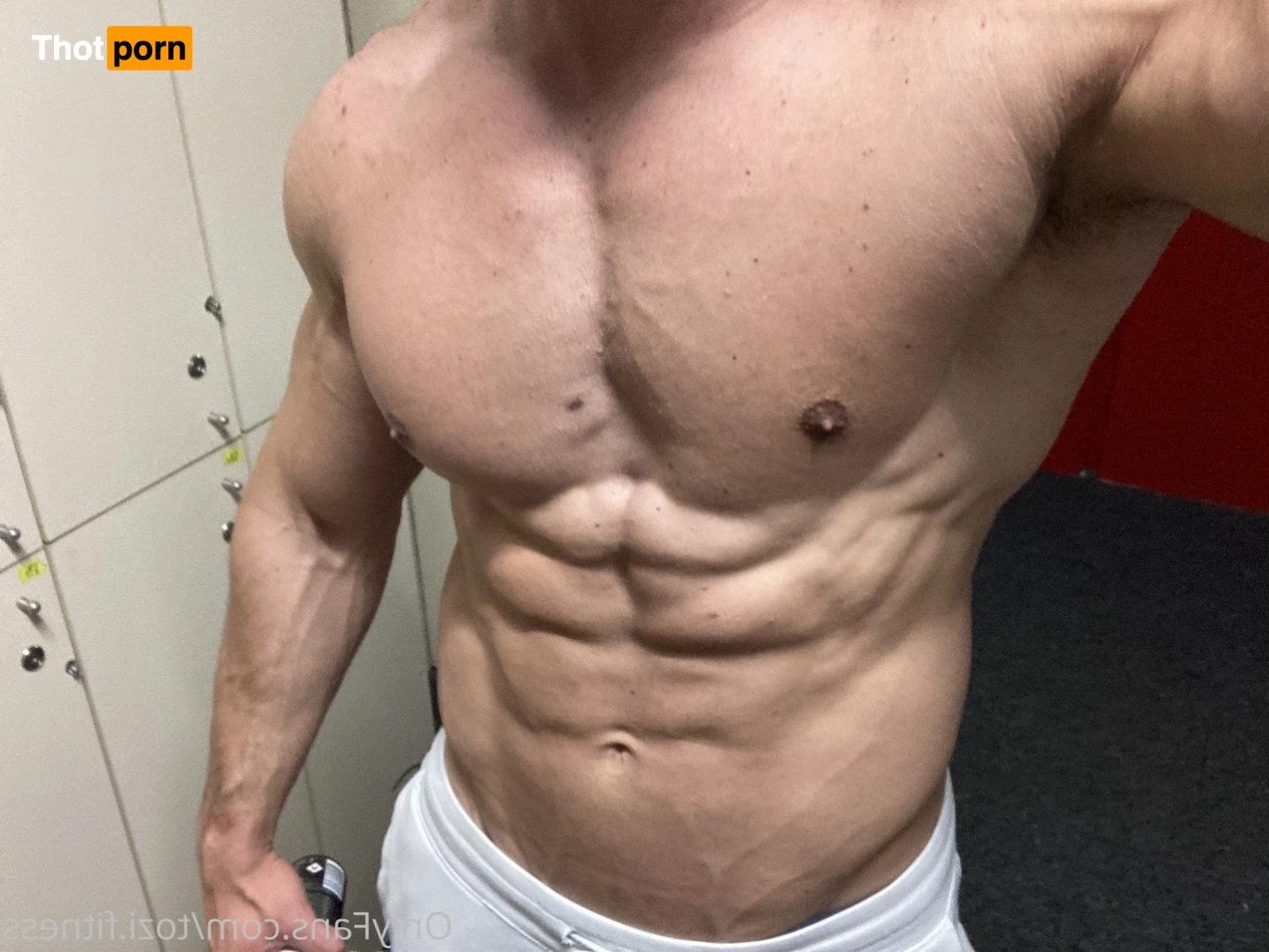 Chad Muscle😈 Top 3.3% 2895067