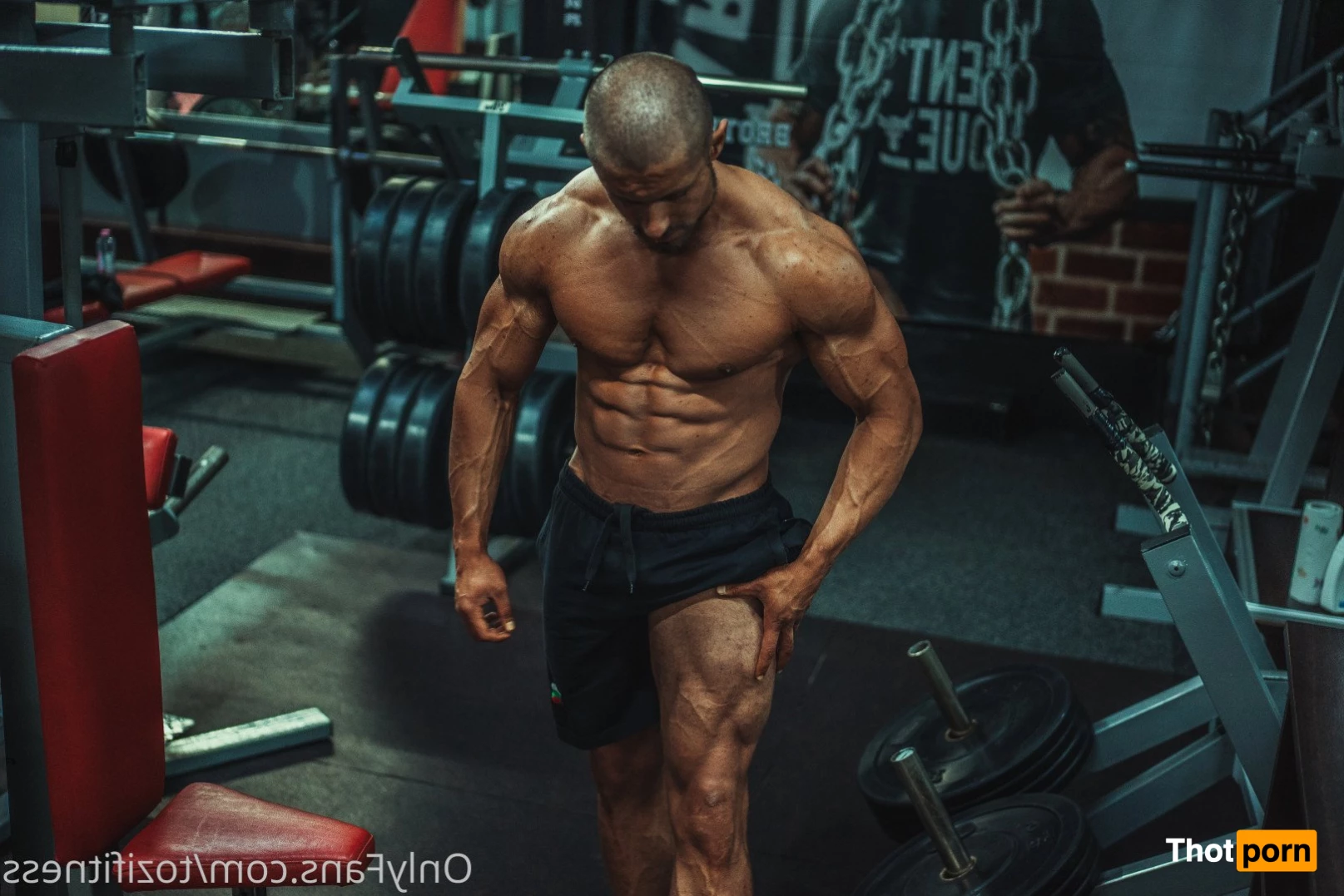 Chad Muscle😈 Top 3.3% 2895320