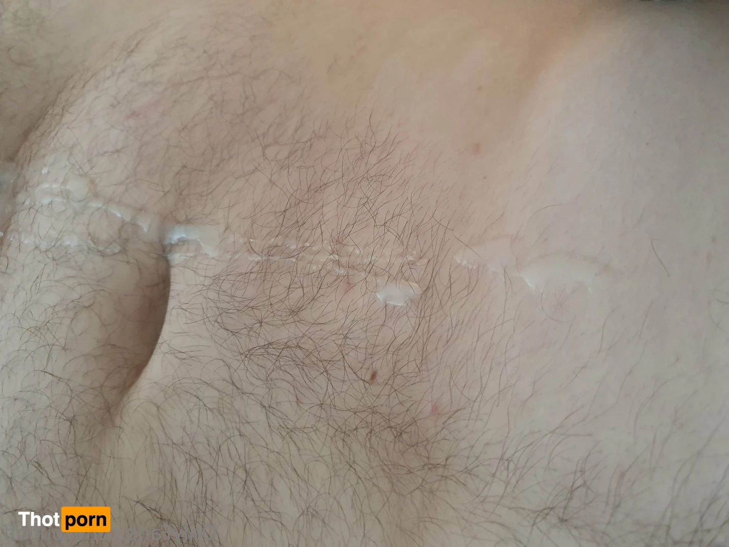 TheRealPaulPulloff 10955079