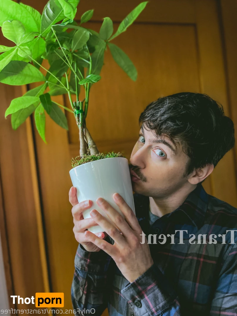 Trans Trent FTM Free 6028033