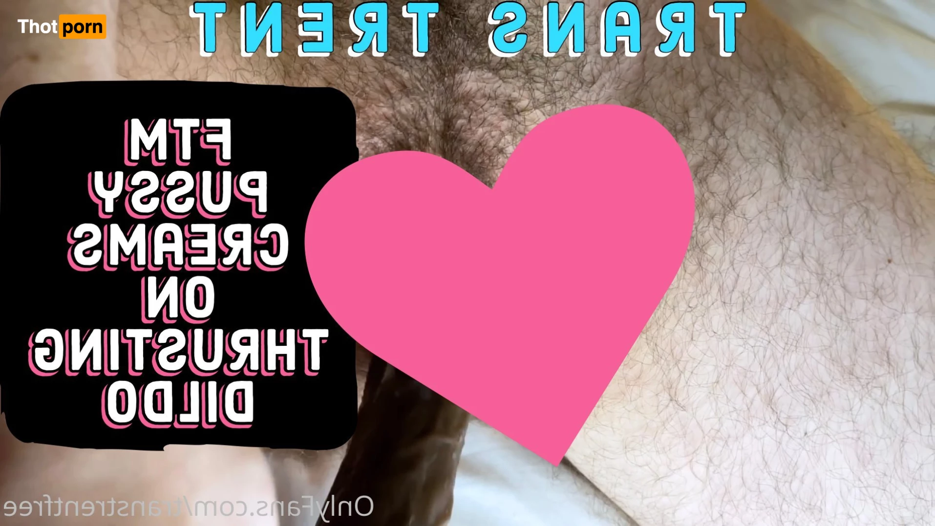 Trans Trent FTM Free 6028095