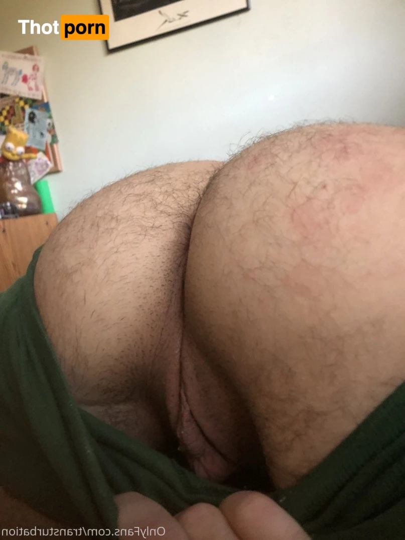 haskell holland 2653198