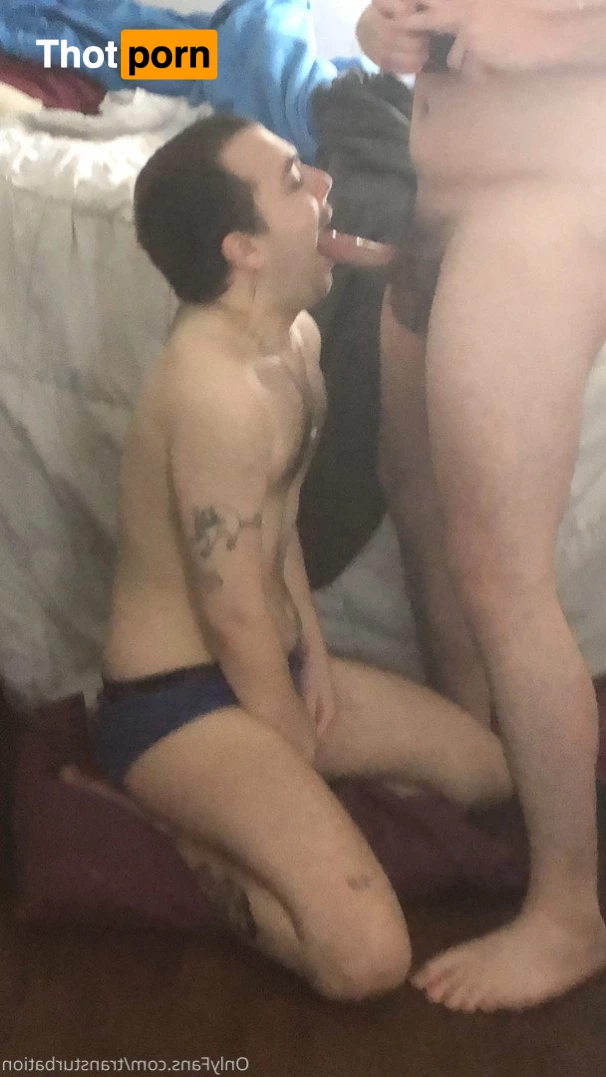 haskell holland 2653207